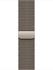 Apple Watch Series 10 46mm Titanium Case with Milanese Loop