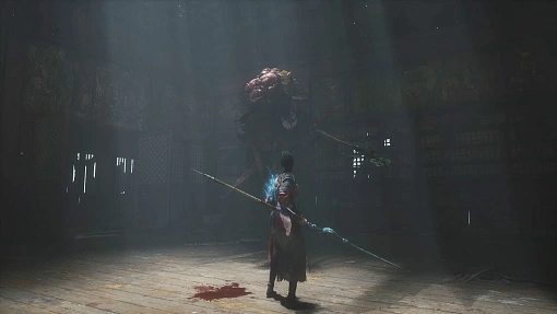 Игра WUCHANG: Fallen Feathers для PS5