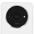Смартфон Xiaomi POCO C61 3/64 Гб