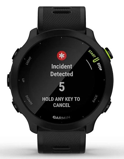 Умные часы Garmin Forerunner 55