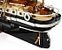 Конструктор LEGO Icons 10335 The Endurance