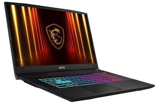 Ноутбук MSI Katana 17 HX B14WFK-276XRU (Intel Core i7 14650HX, NVIDIA GeForce RTX 5060) 32ГБ, 1ТБ SSD, noOS
