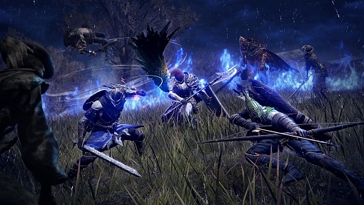 Игра Elden Ring Nightreign Seekers Edition для PS5