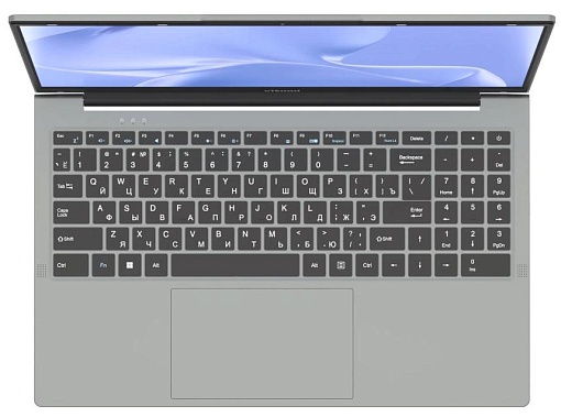 Ноутбук Vitumi V15 LV5PIWG01 15.6" (Intel Celeron N4020C, Intel UHD Graphics) 8ГБ, 256ГБ, Win 11 Home