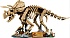 Конструктор LEGO Jurassic World 77985 Ископаемые динозавров: Трицератопс