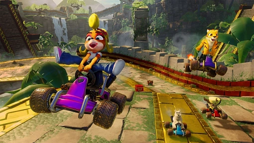 Игра Crash Team Racing Nitro-Fueled для Nintendo Switch
