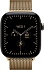 Умные часы Apple Watch Series 12 46mm Titanium Case with Milanese Loop