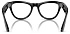 Умные очки Ray-Ban Meta Skyler RW4010