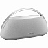 Портативная акустика Harman Kardon Go + Play 3
